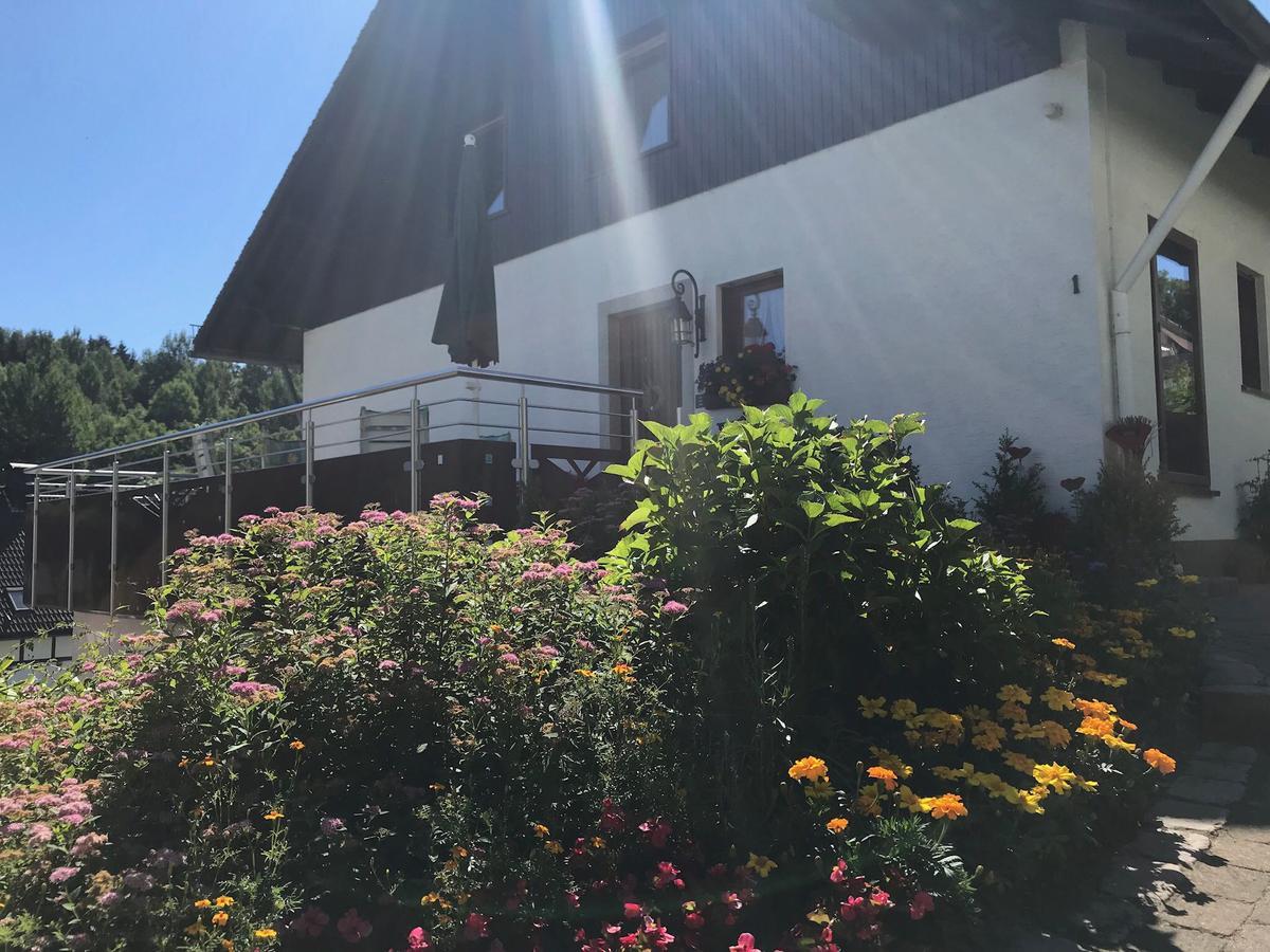 Haus Mittelberg Olsberg Exterior foto